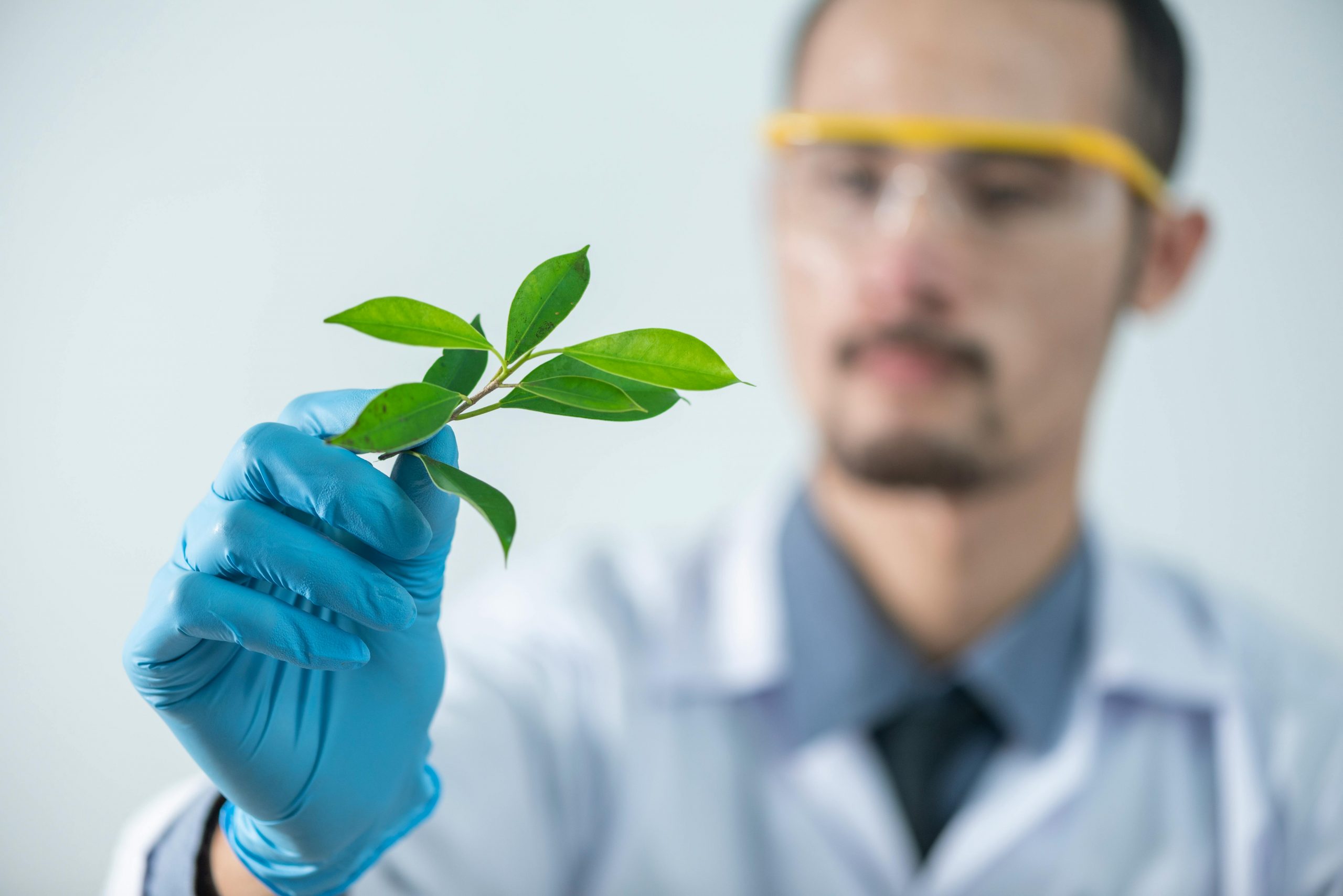scientist with leave