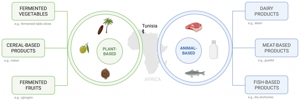 Figure 1. The main categories of the Tunisian traditional fermented foods. Created in BioRender. Capozzi, V. (2026) https://BioRender.com/dbyoc3e.