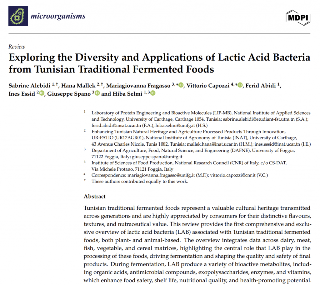 Tunisian fermented foods lactic acid bacteria diversity and applications